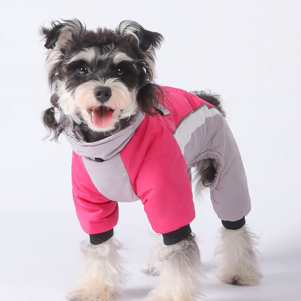 Reflective Waterproof Winter Dog Jacket