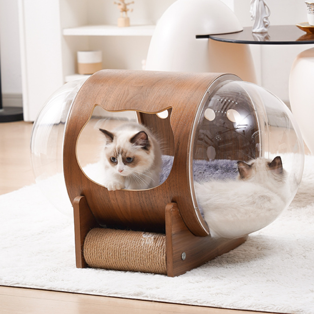 Natural Wood Cat Scratcher & Cozy Cat Bed
