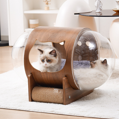 Natural Wood Cat Scratcher & Cozy Cat Bed