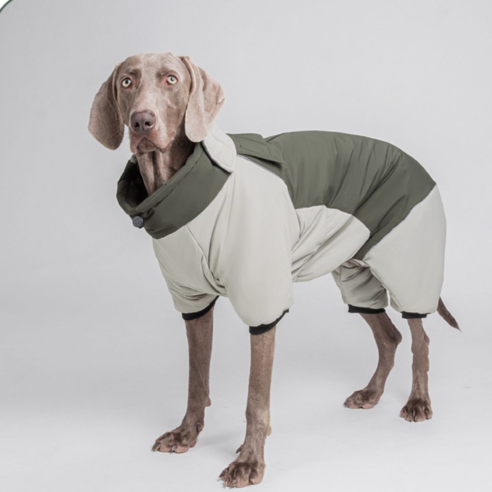 Green Pink Blue Purple Warm Large Dog Jacket
