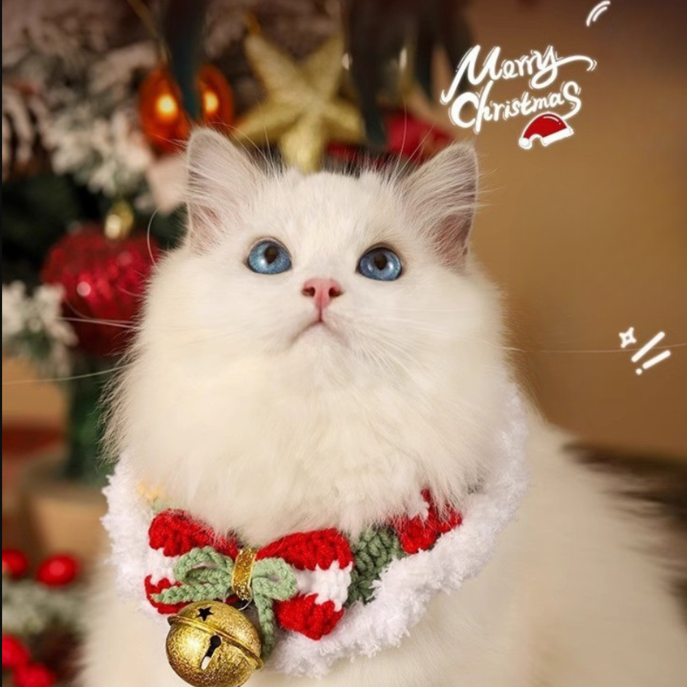 Christmas Hand-Knitted Pet Collar High-Quality Yarn Cat Dog Accessory