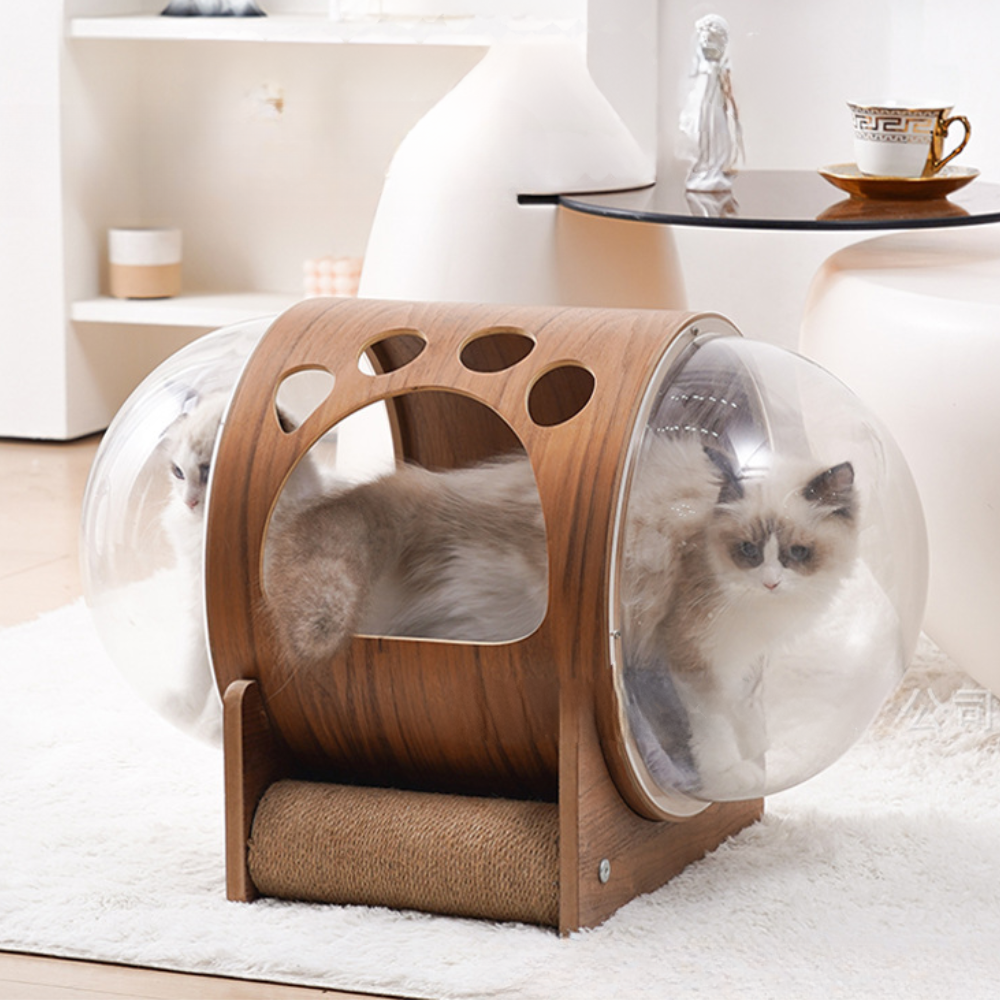 Natural Wood Cat Scratcher & Cozy Cat Bed