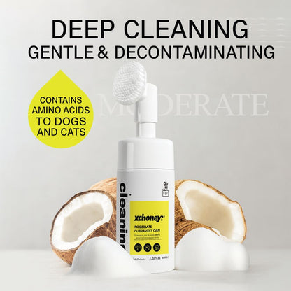 Pet Paw Foam Cleaner