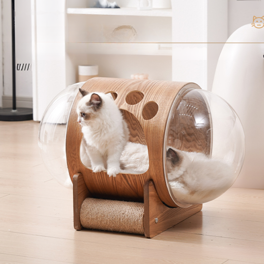 Natural Wood Cat Scratcher & Cozy Cat Bed