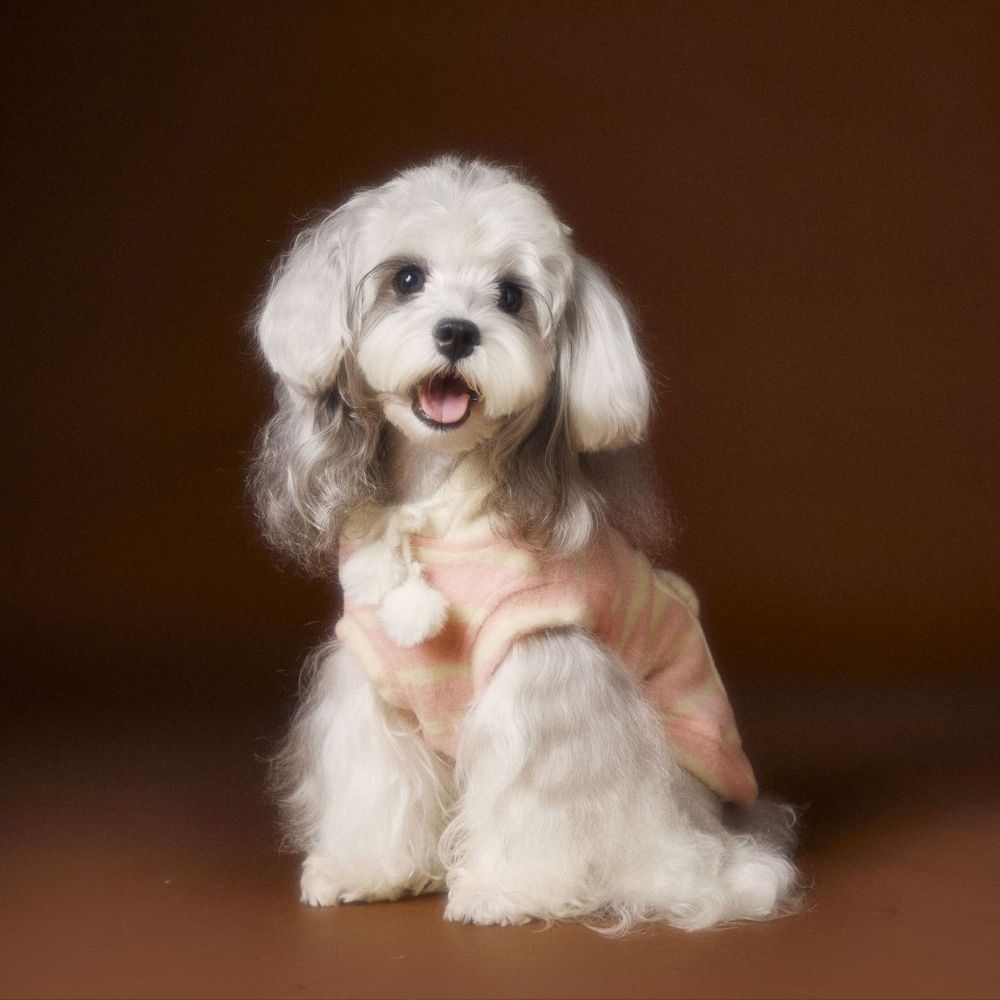 Small Winter Warm Cat Dog Clothes