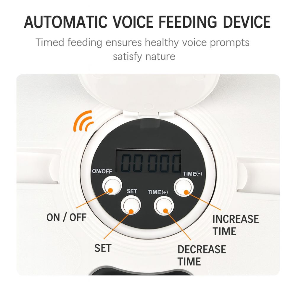 Timed and Quantitative Disc Feeder