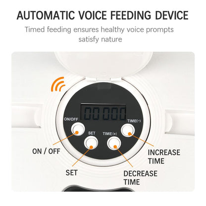 Timed and Quantitative Disc Feeder