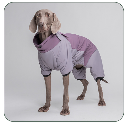 Green Pink Blue Purple Warm Large Dog Jacket