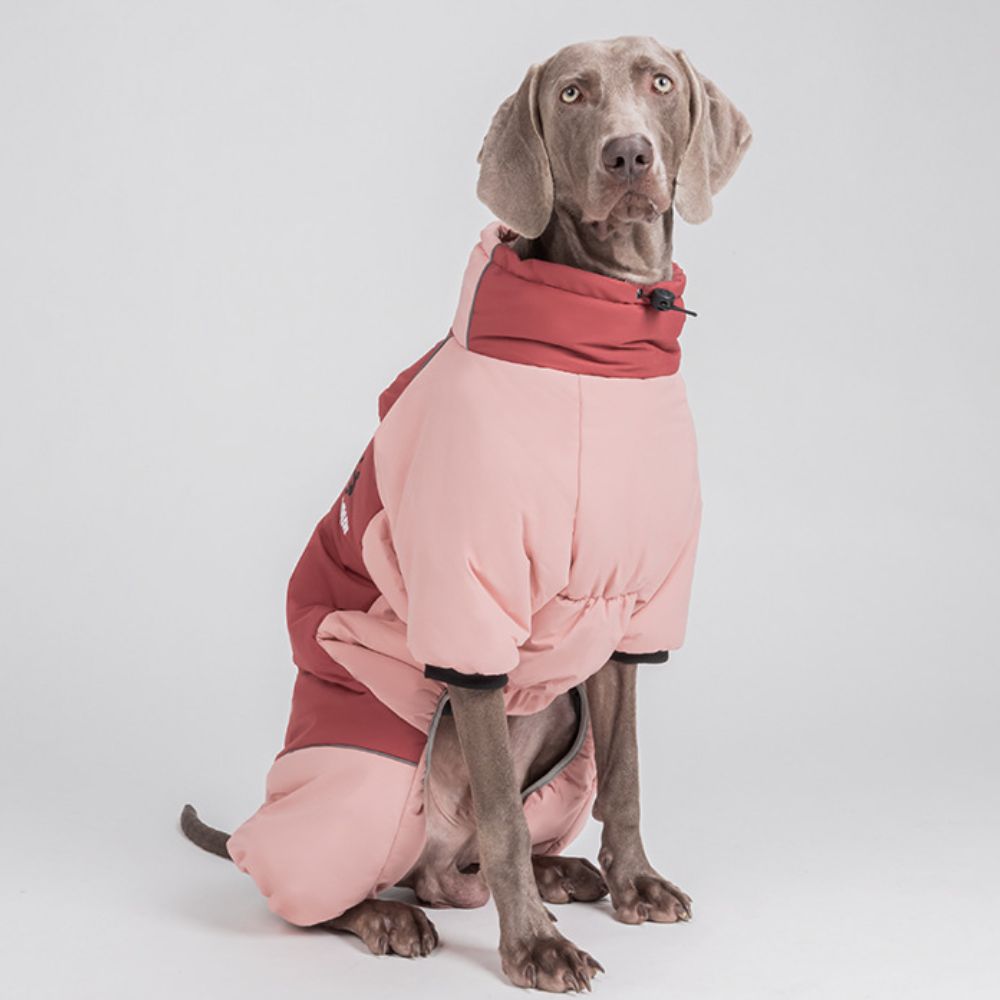 Green Pink Blue Purple Warm Large Dog Jacket