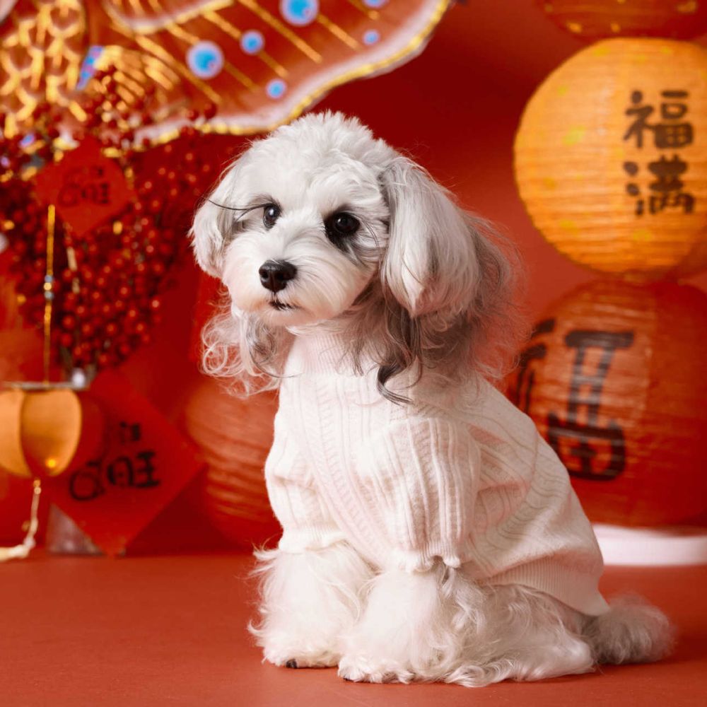 White Sweater Warm Cat Dog Clothes