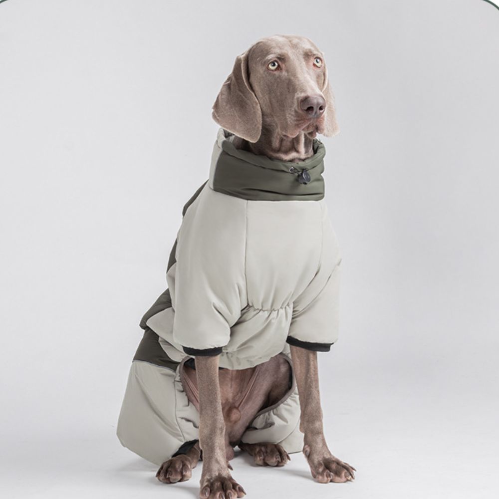 Green Pink Blue Purple Warm Large Dog Jacket