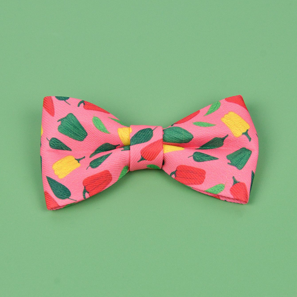 Summer Cute Pet Bow Tie Reversible Printed Eco-Friendly Cat Dog Collar Accessory