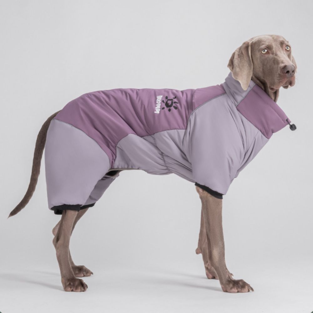 Green Pink Blue Purple Warm Large Dog Jacket