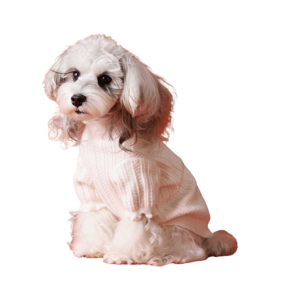 White Sweater Warm Cat Dog Clothes
